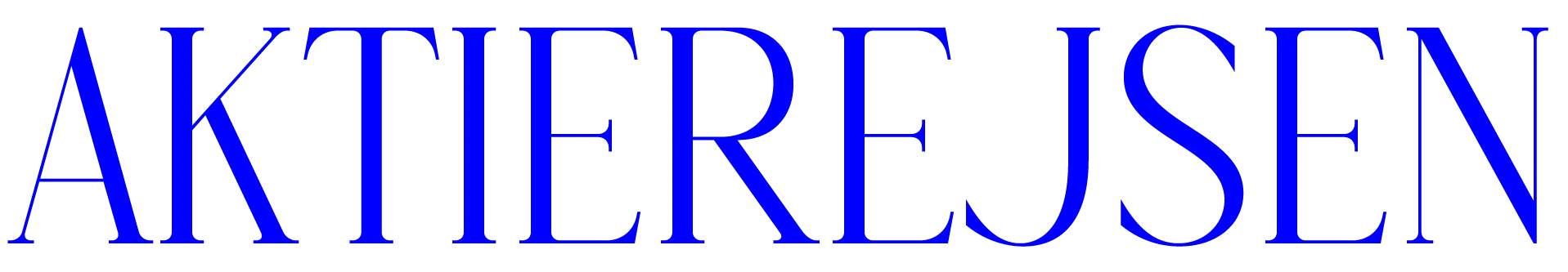 Aktierejsen Logo